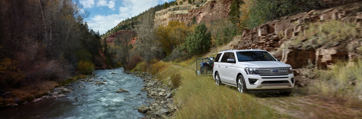 2019 Ford Expedition Platinum SUV 2019 Ford Expedition Platinum SUV