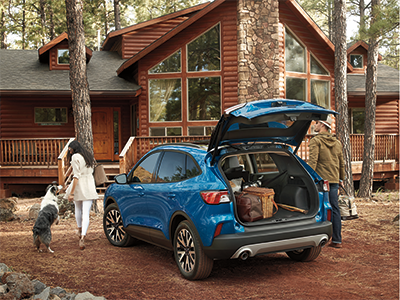 2019 Ford Escape Driver Interior