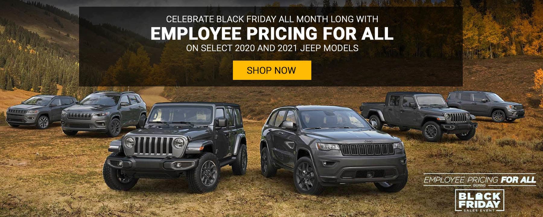 NB_Webslide_NOV2020_0for84Jeep_Desktop-1800x720.jpg