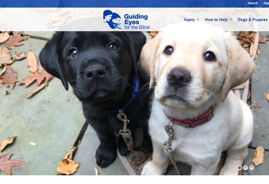 DOGS.png