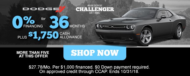 dodge (8).jpg