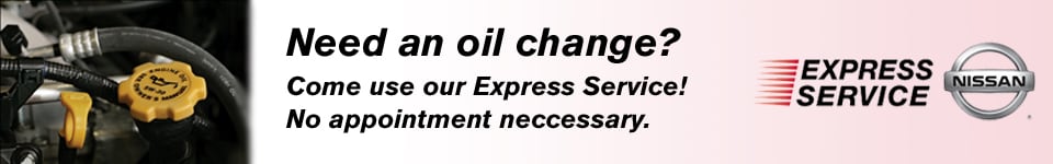 Nissan Express Service