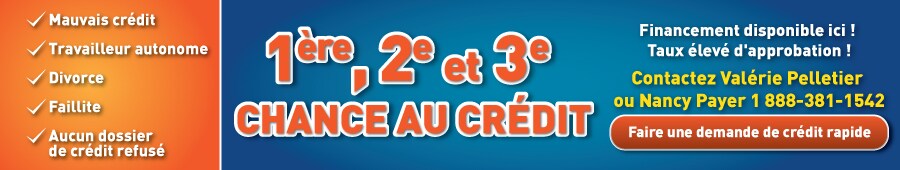 stjc- banner web long v2 (2).png
