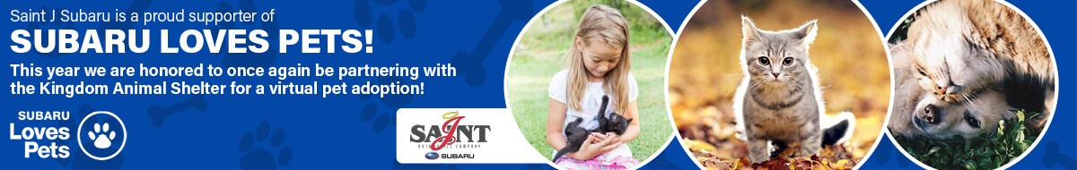 2020-10-saintjsubarusne-09473119-Saint-J-Subaru-Loves-Pets-OT.jpg