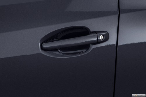 GasDoorHandles.jpg