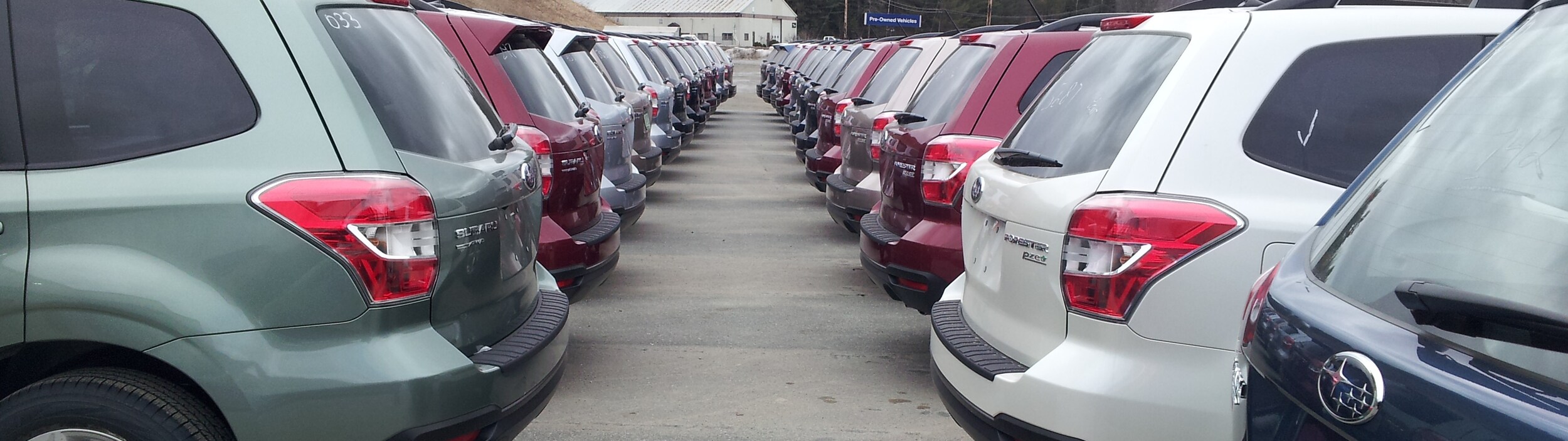 Forester Premiere (1).jpg