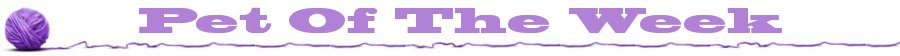 ball-of-yarn-border.jpg