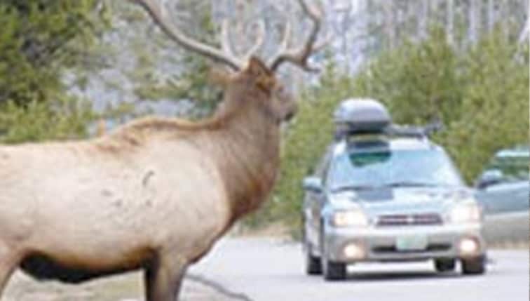 Roadside Assistance.png