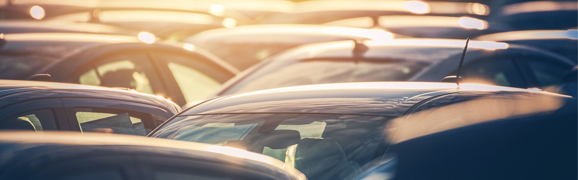 Sale Kia is a Kia Dealership in Kinston near Winterville, NC | Selective focus picture of cars on a dealership lot at sunset
