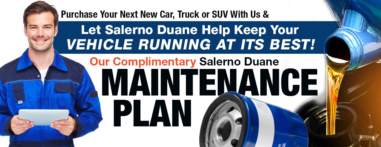 SDS-hl-ddc-maintenance-plan-2020-REV.png