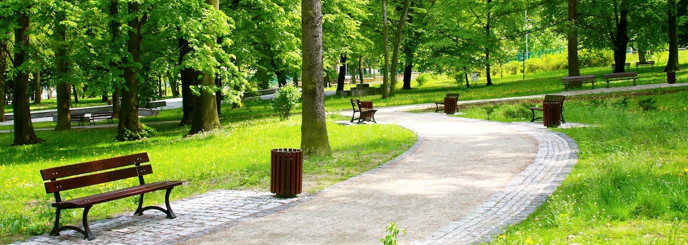 beautiful park path in spring time