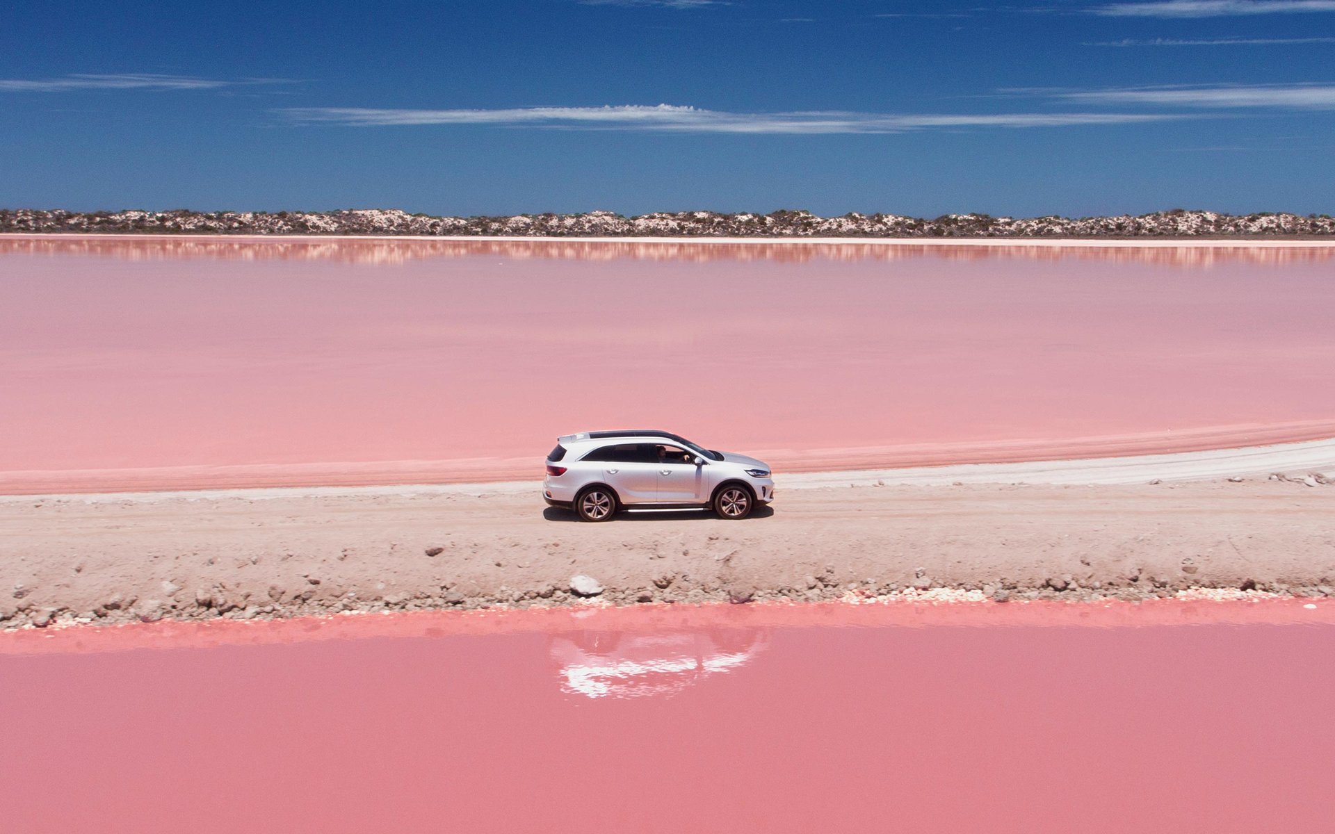 background_sorento_2019_desktop_natgeo_carousel-6--kia-1920x-jpg.jpg