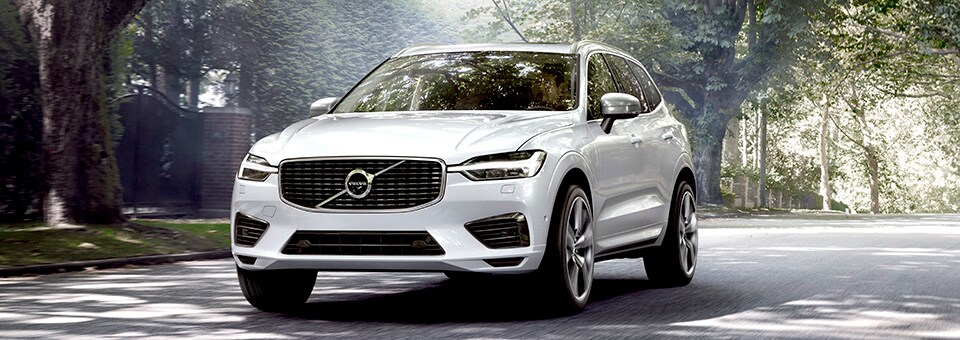 xc60.jpg