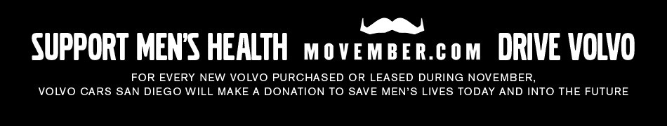 Movember_Web_Ad_950x180.jpg