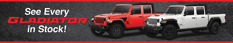 See Every Gladiator In Stock