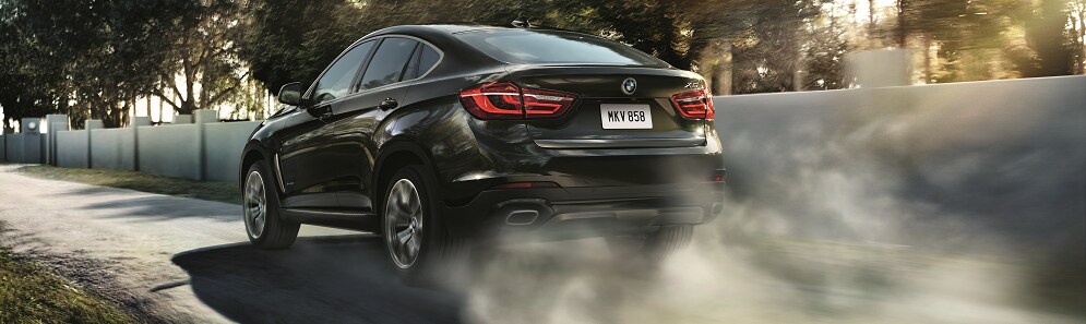 BMW X6 Performance