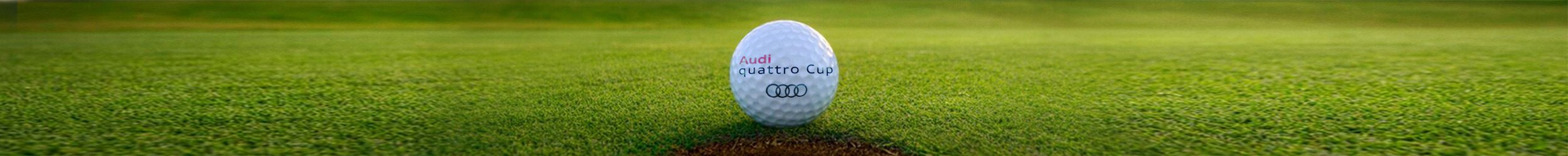 Santa Monica Audi quattro Cup 2016.jpg