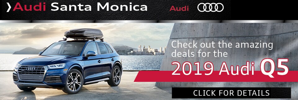 2019 Audi Q5 Cargo and Quattro 2019 Audi Q5 Specials