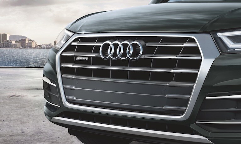 2019 Audi Q5 Singleframe Grill 2019 Audi Q5 Singleframe Grill