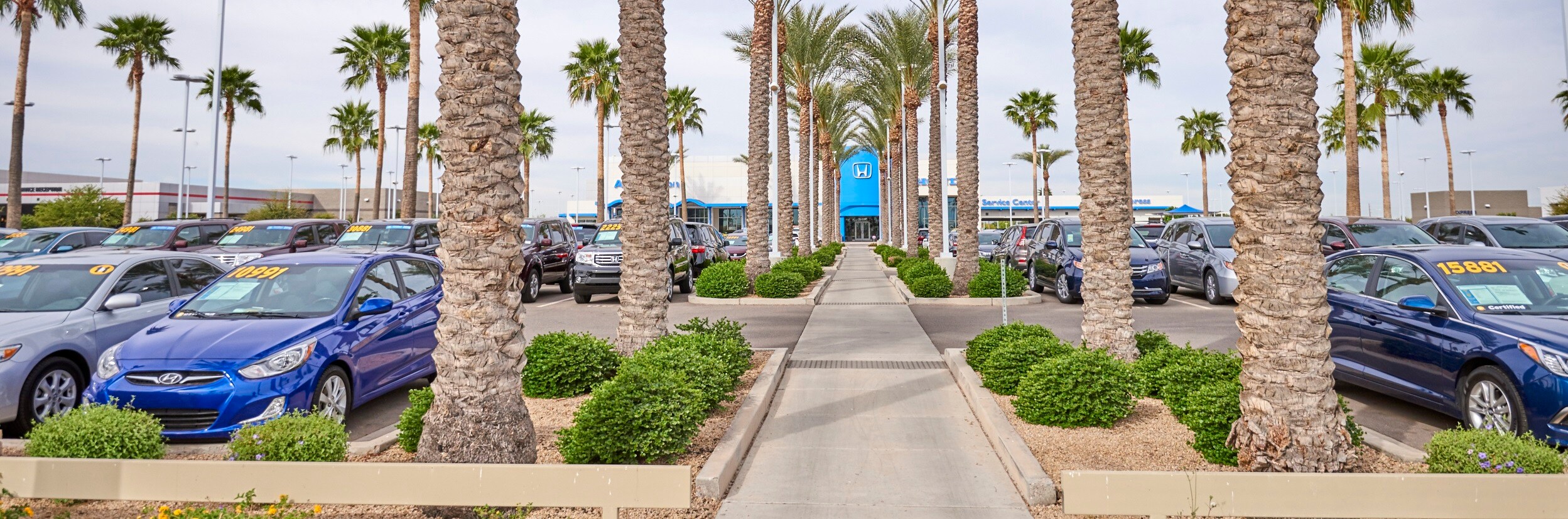 Honda Dealership Serving Mesa