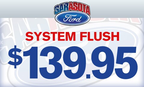 SystemFlush.jpg
