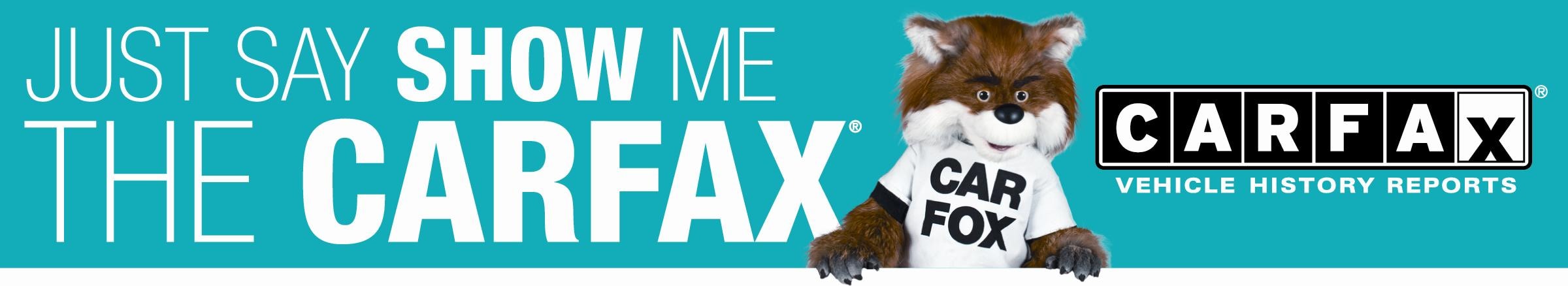 Fox Banner.JPG