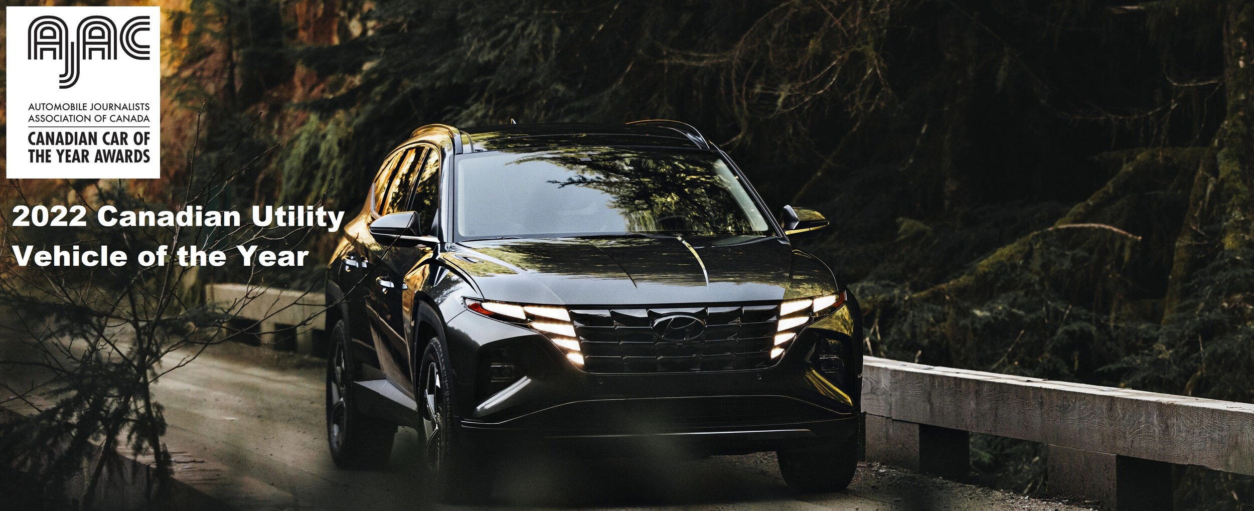 2022 Tucson AJAC Award