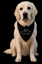 Savant Dog