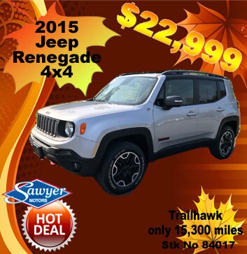 2015 Renegade.jpg