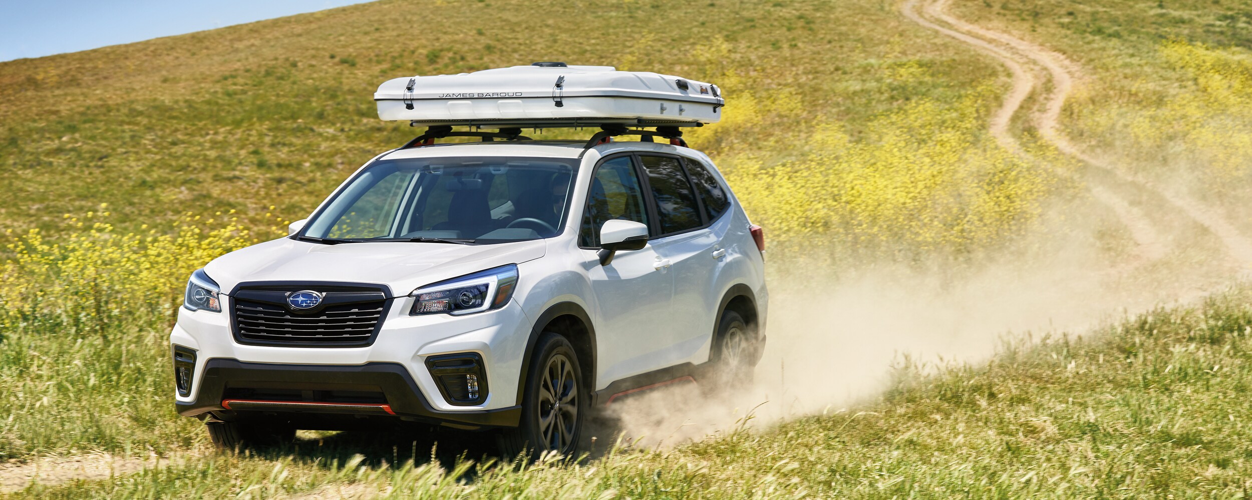 2021 Subaru Forester (2).jpeg
