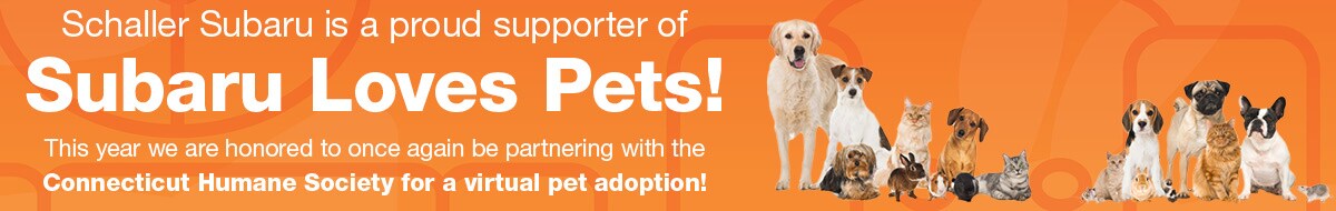 Pets1200x37523
2020 .jpg