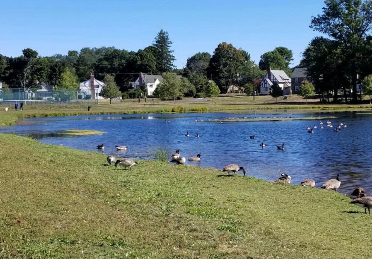 LP CT Clean Up 2018_A9458.jpg