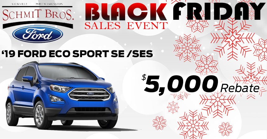 EcoSport_Schmit_Bros_Ford_Banner.jpg