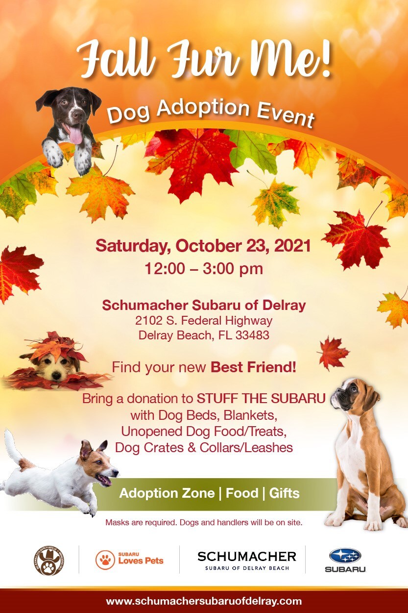 thumbnail_Subaru-Loves-Pets.WPB.Oct16.2021.jpg