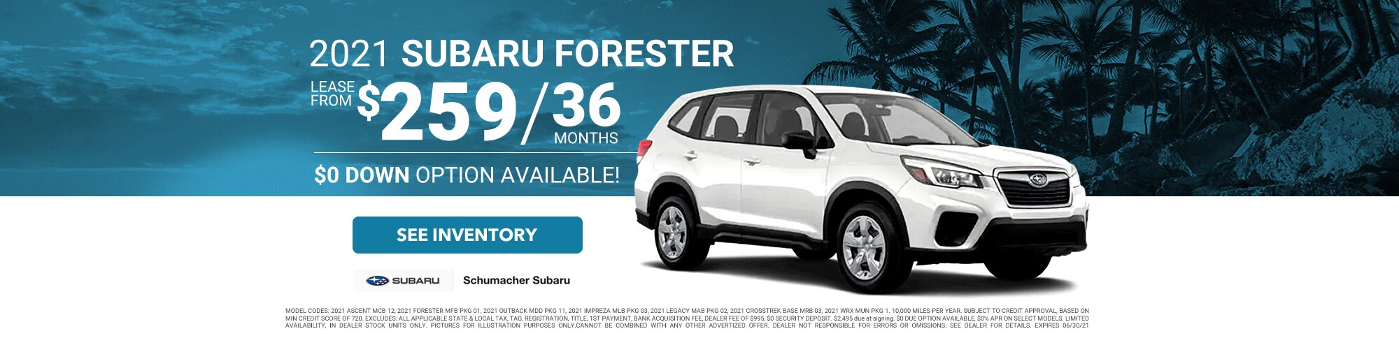 forester.jpg