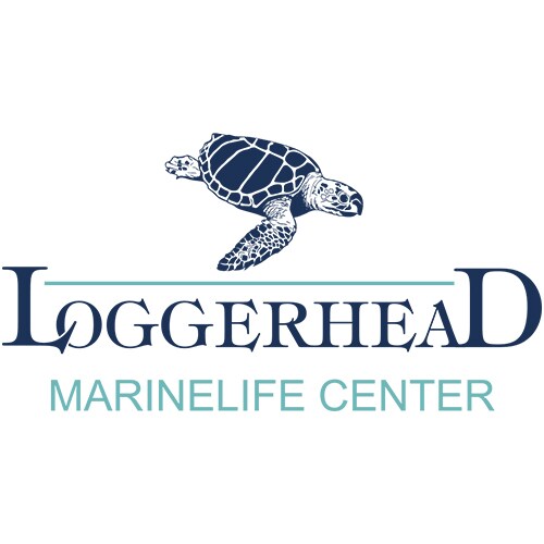 Loggerhead MarineLife Center