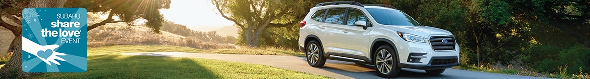 schumacher-subaru-november-sharelove-srp-banner.jpg