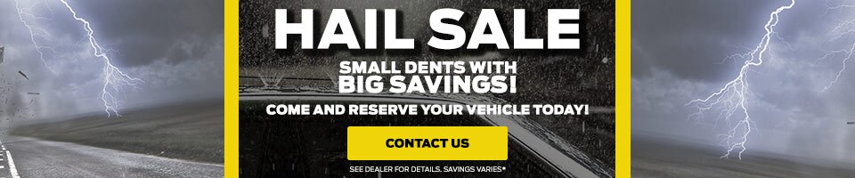 hail-sale-banner-june-2019.jpg