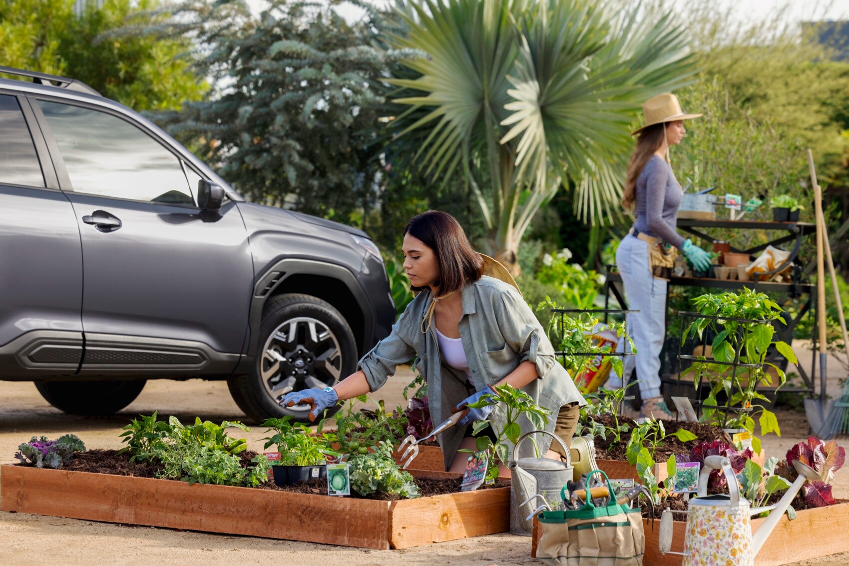 Subaru Dealer Lubbock TX
