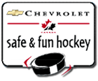 fun and safe hockey.gif