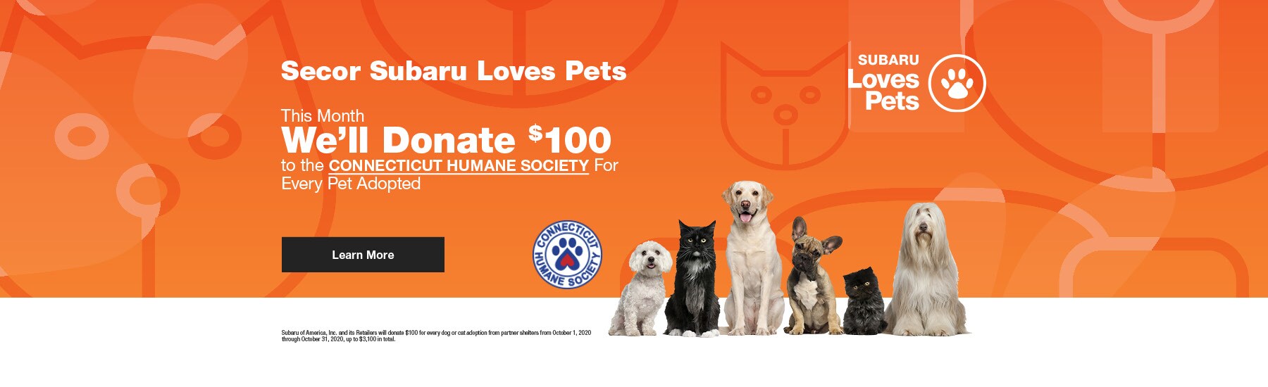 2020-10-secorsubarusne-09460368-Donate-100-Pets-SL.jpg