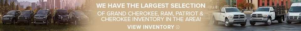 Skinny-Banner.png