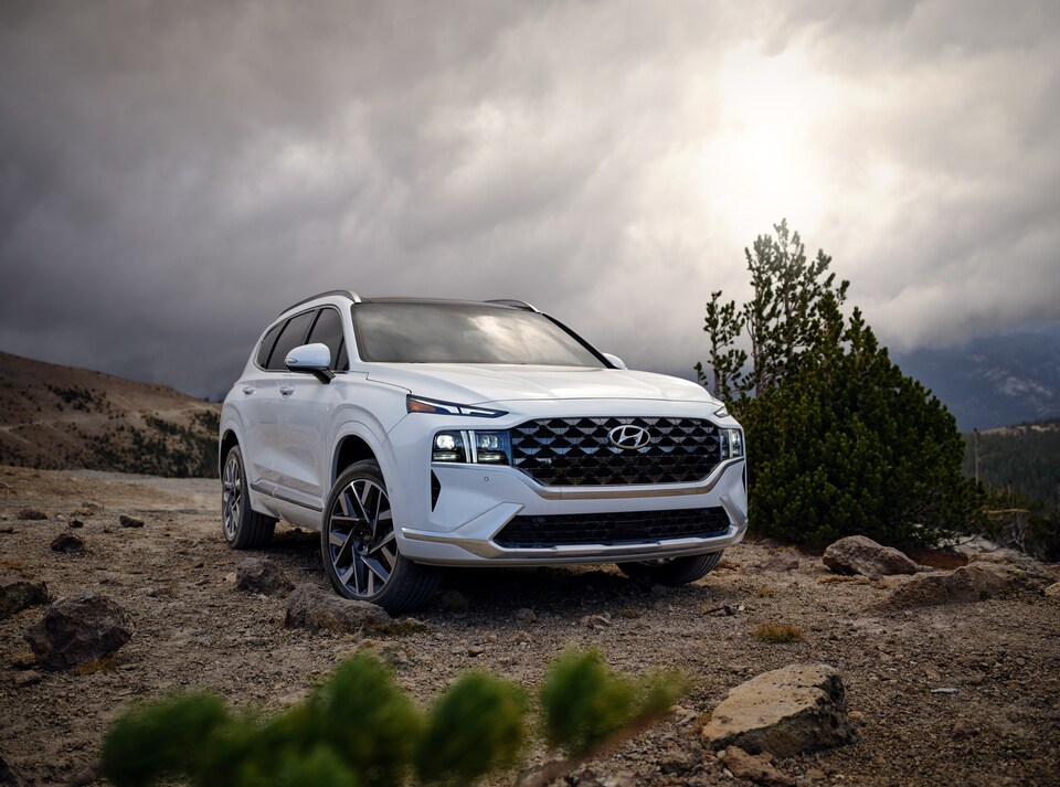 2021-Hyundai-SantaFe-Calligraphy-SUV-L13.jpeg