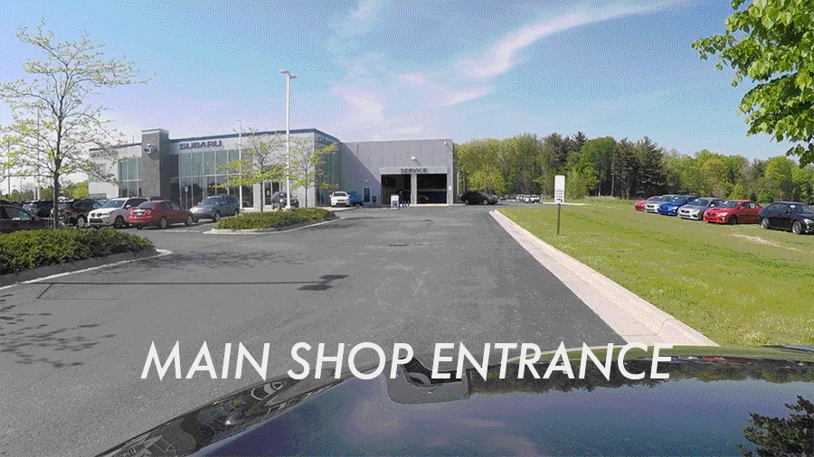 MainShop.gif