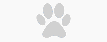 LeaderDog-Funds-Raised.gif