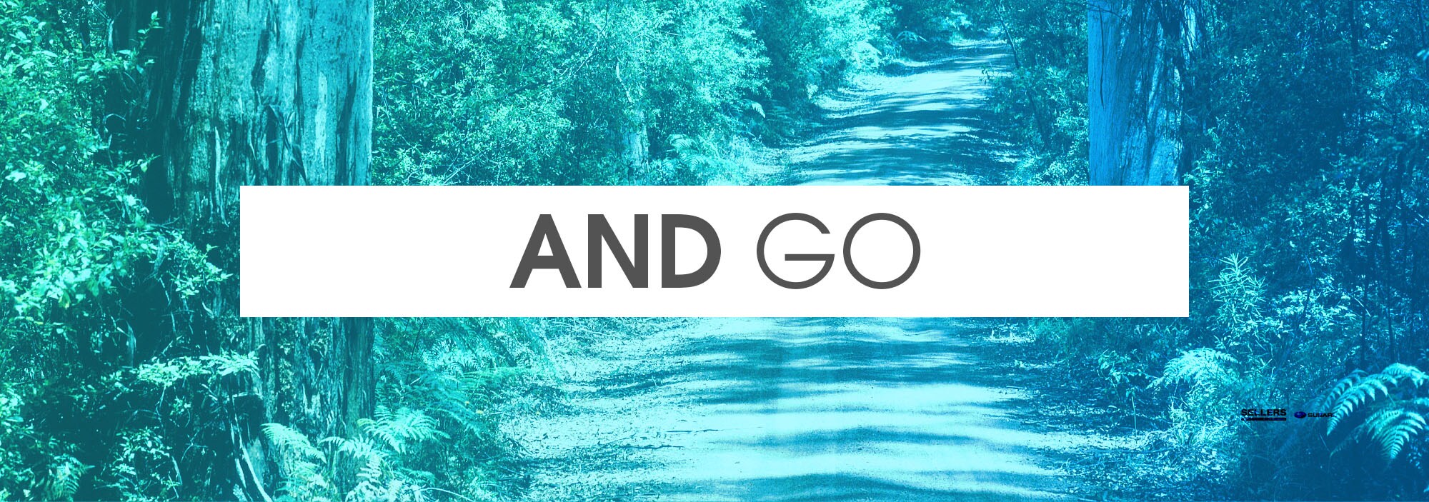 go.jpg