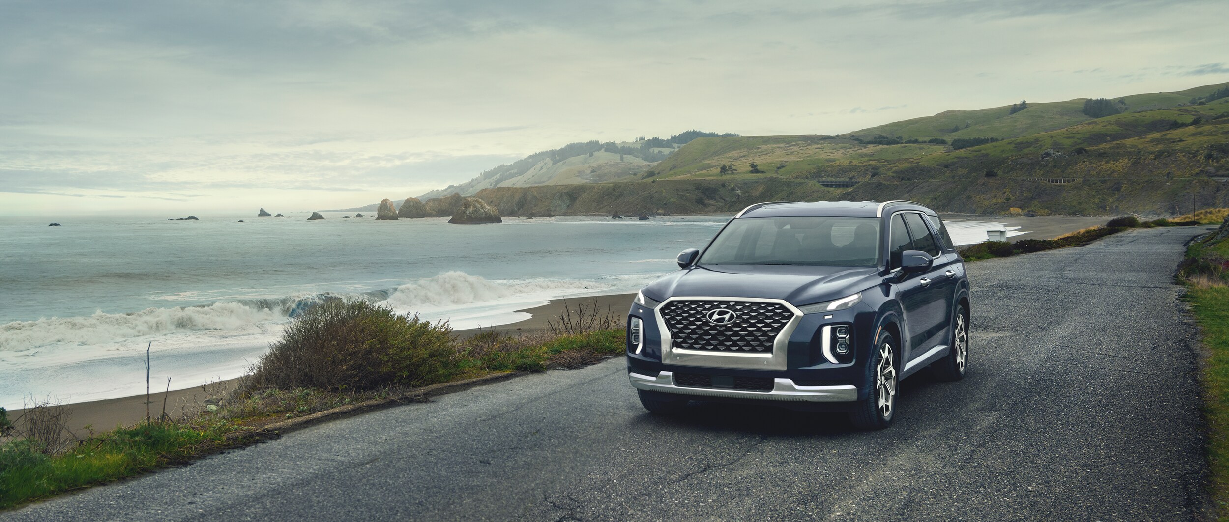 2021 Hyundai Palisade (1).jpeg