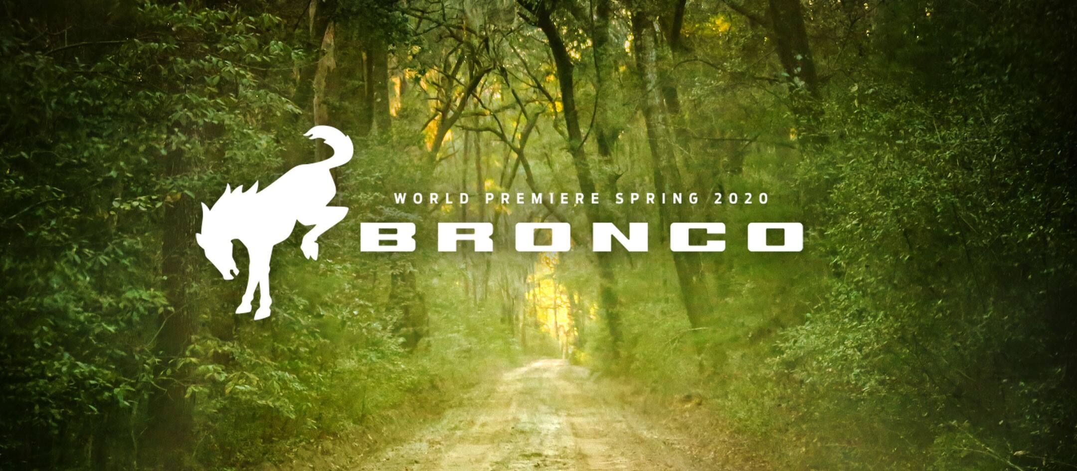Ford Bronco Spring 1.jpeg
