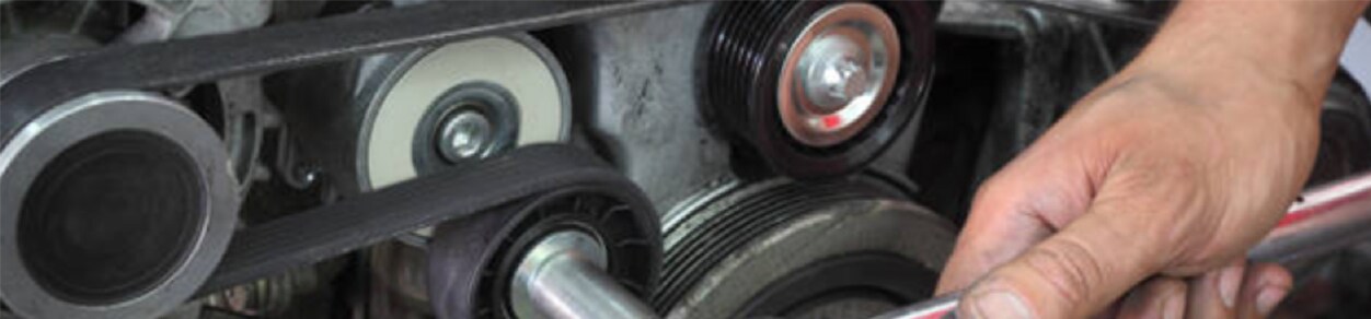belts_and_hoses.jpeg