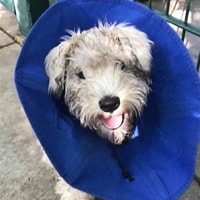 Wesley Updated 1 copy.png